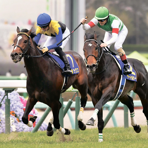 Japanese Derby stands out as one of racing’s big events