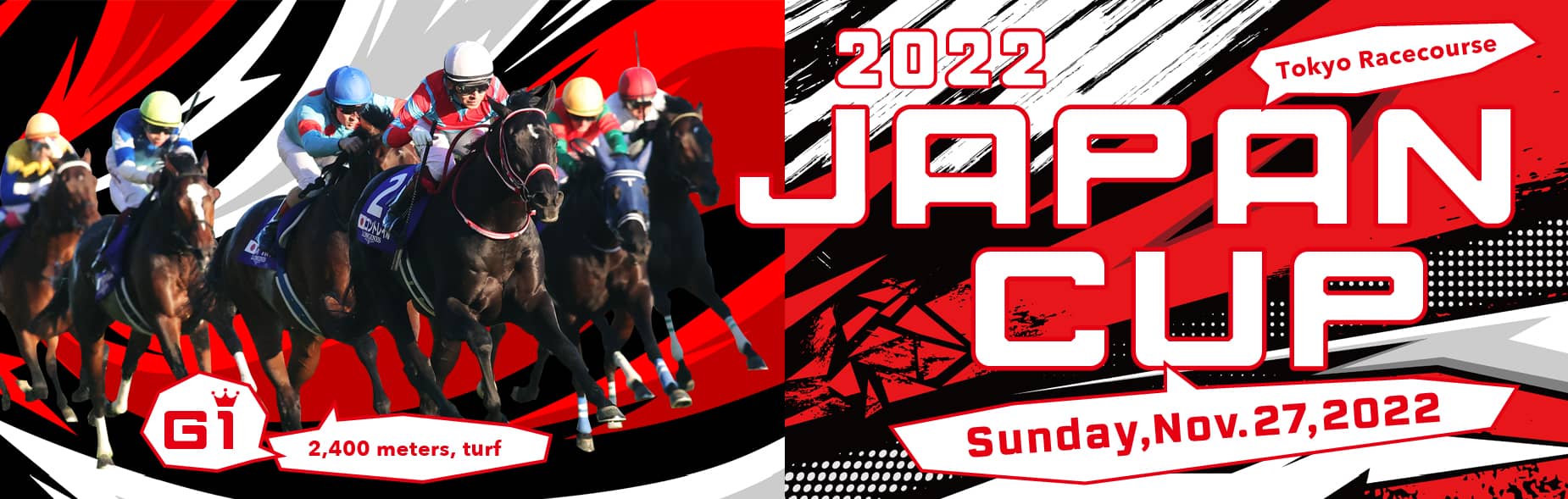 2022 Japan Cup Sunday,Nov.27,2022 Tokyo Racecourse G1 2,400meters,turf 