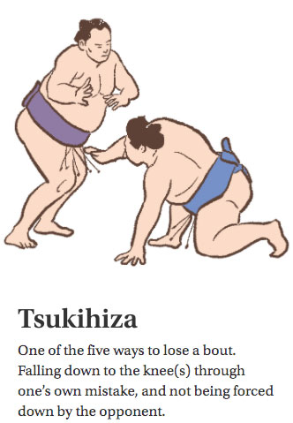 Tsukihiza