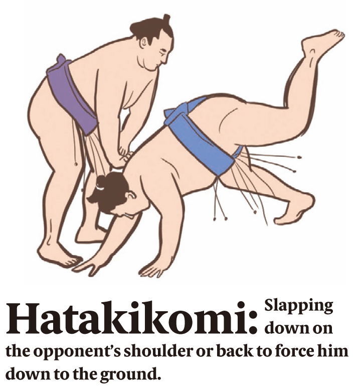Hatakikomi
