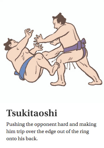 Tsukitaoshi